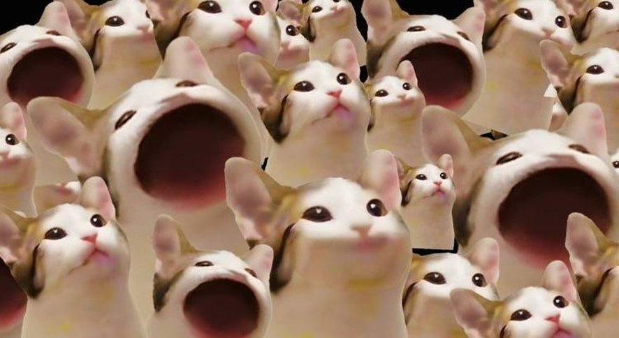 POPCAT是什么?POPCAT币价格预测2025年、2026-2030年