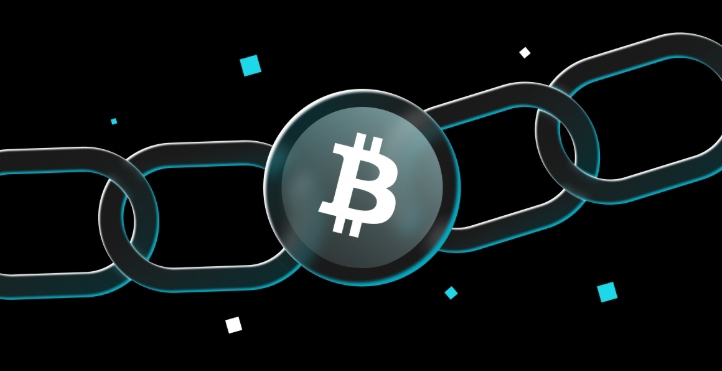 比特币wallet是什么?可以查询那些内容?比特币wallet使用指南