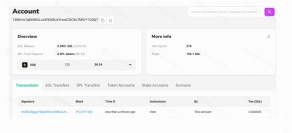 Solscan 是什么？它是如何工作的？如何正取使用