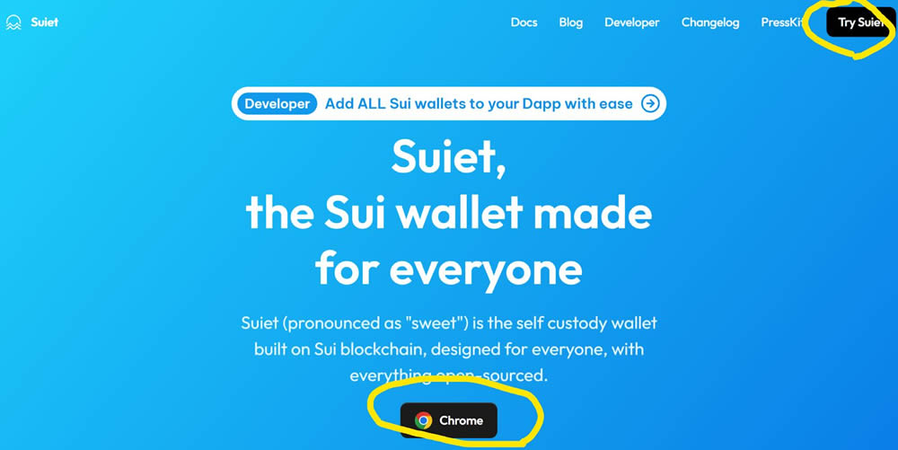 Sui常用wallet有哪些？Suiwallet(Suiet Wallet)创建与转帐教学