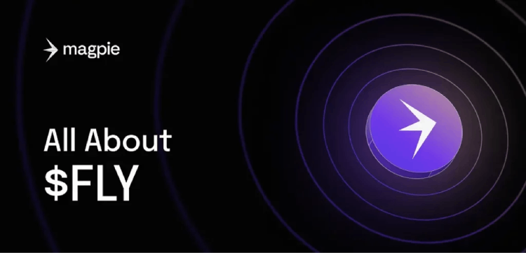 什么是FLY(FLY Token)?DeFi跨链聚合加密货币FLY的完整指南