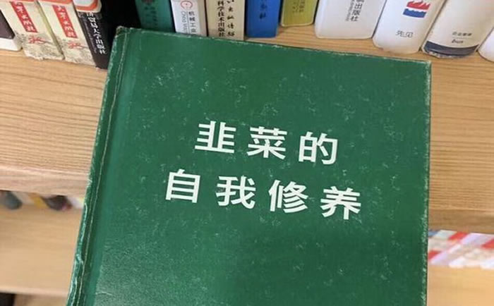 刚刚进入币圈的新人应该怎么玩？