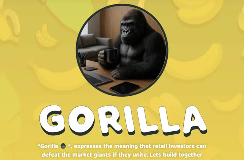 GORILLA币能否成为BNB链下一个价值1亿美元的memecoin？
