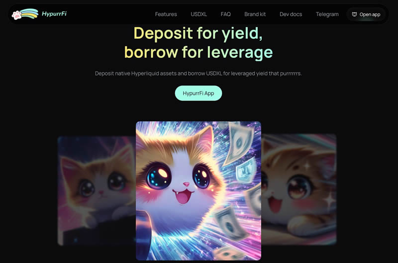 $HYPE币第二波空投来袭!HyperEVM生态中的核心项目和交互策略