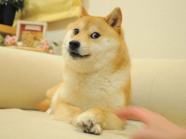 迷因币是什么？2025 年10 大热门迷因币有哪些？MEME币特点介绍