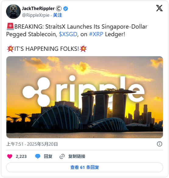 Ripple USD（RLUSD）稳定币:为机构数字金融开辟道路