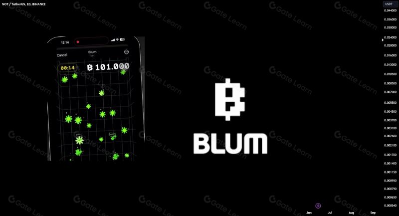 Blum（BLUM）是什么？2025年关于BLUM你需要了解的一切