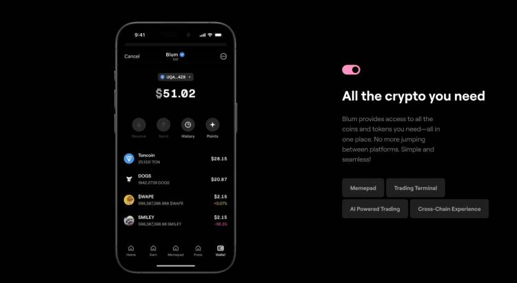 Blum(BLUM)能达到1美元吗?BLUM价格预测2025,2026-2030