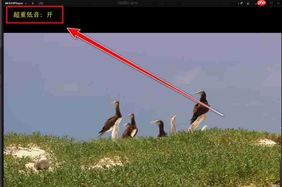 kmplayer怎么开启重低音?-kmplayer开启重低音的方法