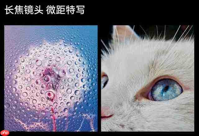  这四款折叠屏手机，谁能让你拍到“显微级”照片？