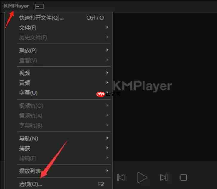 kmplayer怎么设置回放?-kmplayer设置回放的方法
