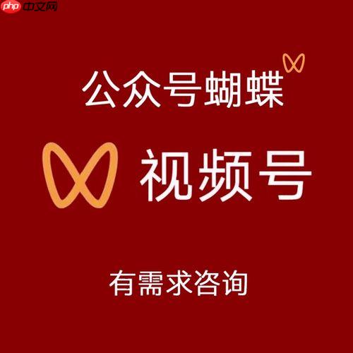 零基础也能上热门?蝴蝶号内容运营与涨粉逻辑全公开