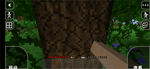 生存战争2.4原版