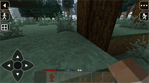 生存战争2.4原版