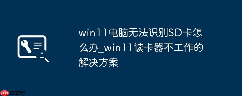 win11电脑无法识别SD卡怎么办_win11读卡器不工作的解决方案