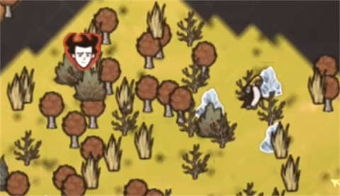 饥荒新家园官方版