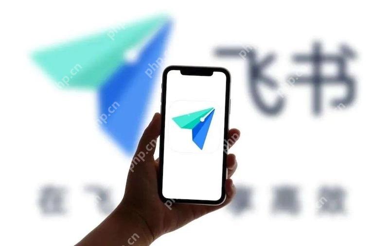 飞书桌面端与手机端消息不同步怎么办？ - 菜鸟下载