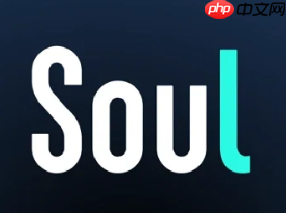 soul虚拟伴侣打电话要钱吗 soul虚拟伴侣打电话怎么收费能聊多久