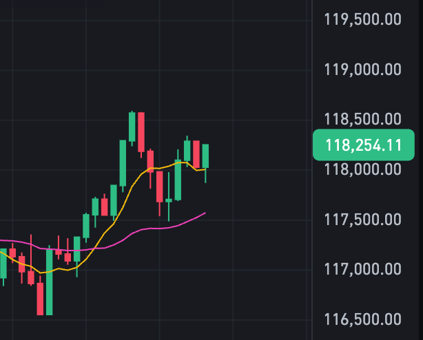 BTC历史价格走势图app推荐 比特币2015-2025历史价格汇总 - 菜鸟下载
