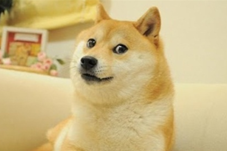 为什么都希望doge有更多使用场景？狗狗币如果支付场景变多真的利好吗？