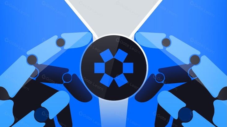 Omni购买步骤全解析 新手第一次买Omni需要注意哪些风险? - 菜鸟下载