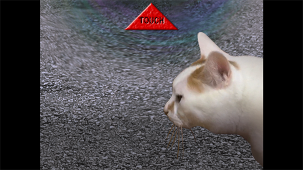 翌日猫之怪奇谭