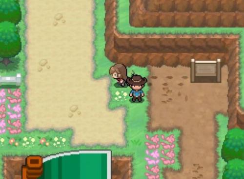 宝可梦蛋白石手机版