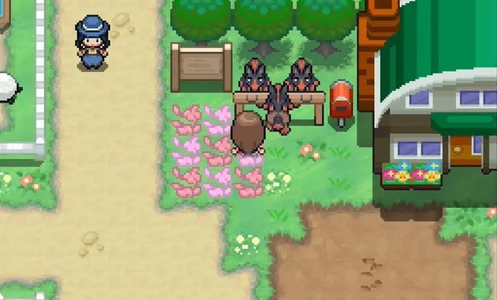 宝可梦蛋白石手机版