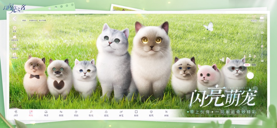 以闪亮之名 官网正版