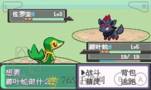 口袋妖怪漆黑的魅影