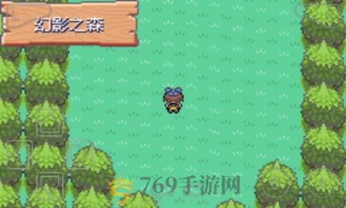 口袋妖怪漆黑的魅影