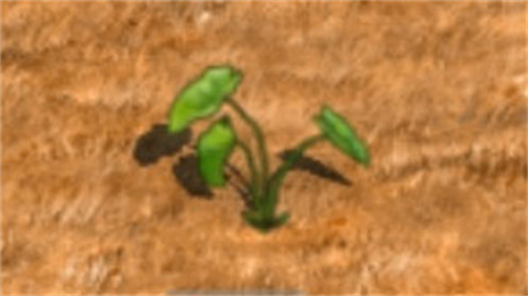 村落人生官方版