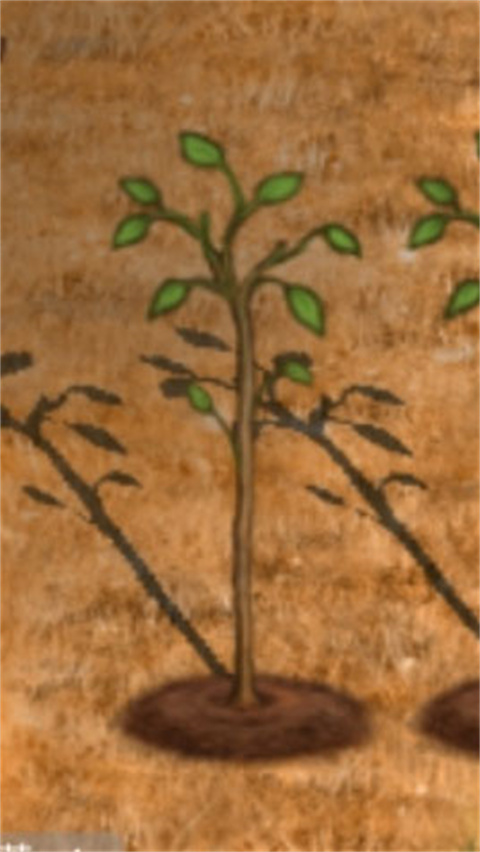 村落人生官方版