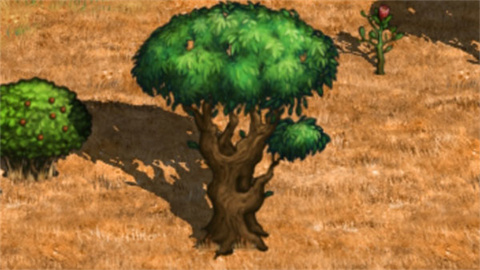 村落人生官方版