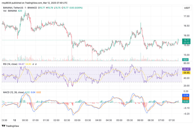 Banana Gun (BANANA) 的技术分析