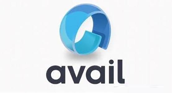 Avail代币分配详情