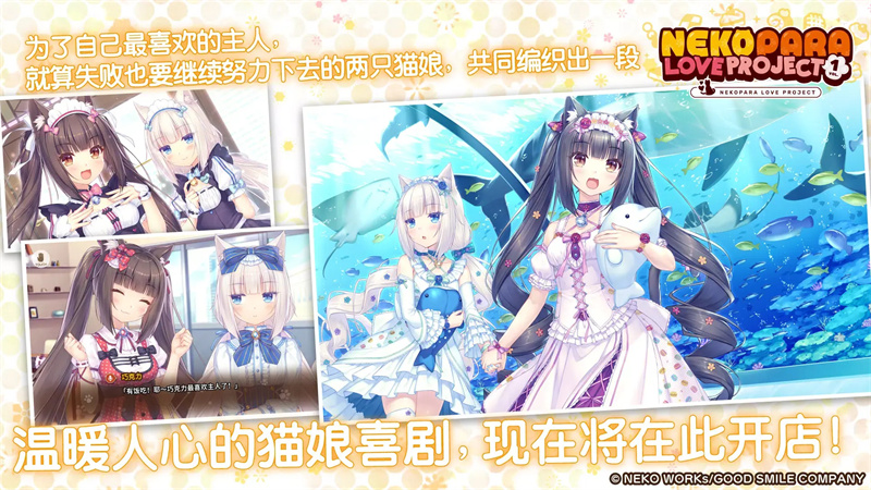 猫娘乐园手机版