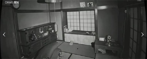 日本事故物件监视协会中文版