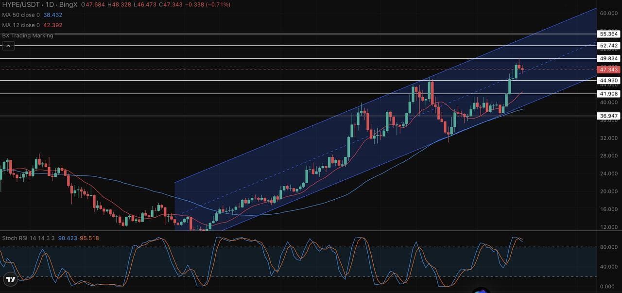 Hyperliquid (HYPE币) 怎么样？HYPE代币经济学和2025年价格预测