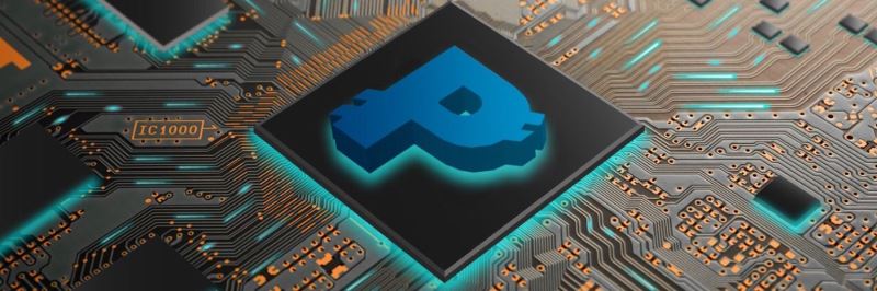 什么是PayNet Coin(PAYN币)？PAYN币市场、代币经济学及未来价格预测