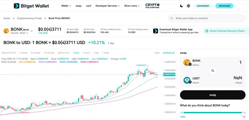 BONK币会在2025年继续上涨吗？BONK币未来价格走势分析