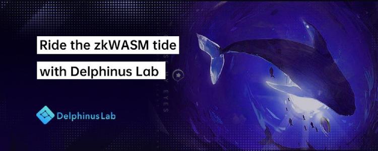 Delphinus Lab(ZKWASM币)是什么?如何运作?ZKWASM团队背景,代币经济与未来前景分析