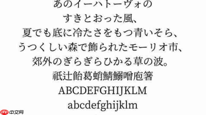 Source Han Serif SC Bold字体特点解析,设计师必备中文字体