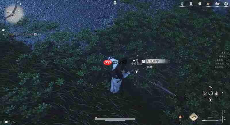 燕云十六声奇珍系统怎么玩 燕云奇珍蹊跷收集介绍