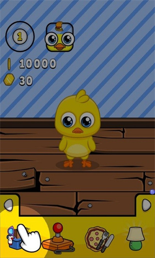 迷你生活我的小鸡