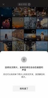 微信发live图怎么不动
