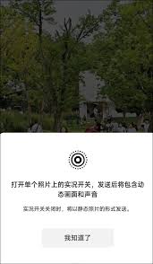微信聊天发live图能看到吗