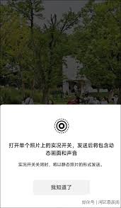 微信聊天发live图怎么发