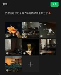 微信聊天发live图怎么发