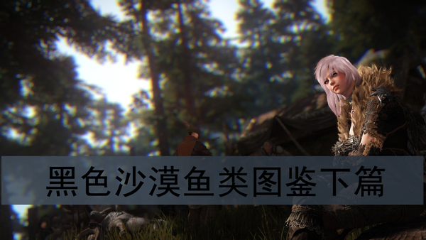 黑色沙漠中鱼群的分布位置介绍